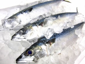 サバの味噌煮と煮付けや煮食い鍋のすき焼きとオイル煮のコンフィもいいですよ! サバの味噌煮と煮付けや煮食い鍋のすき焼きとオイル煮のコンフィもいいですよ!